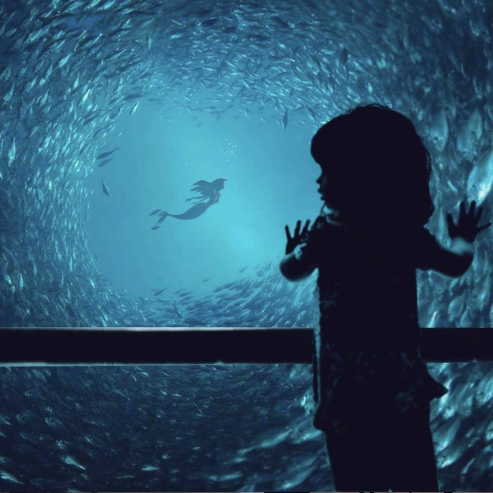 aquarium efix disney montpellier
