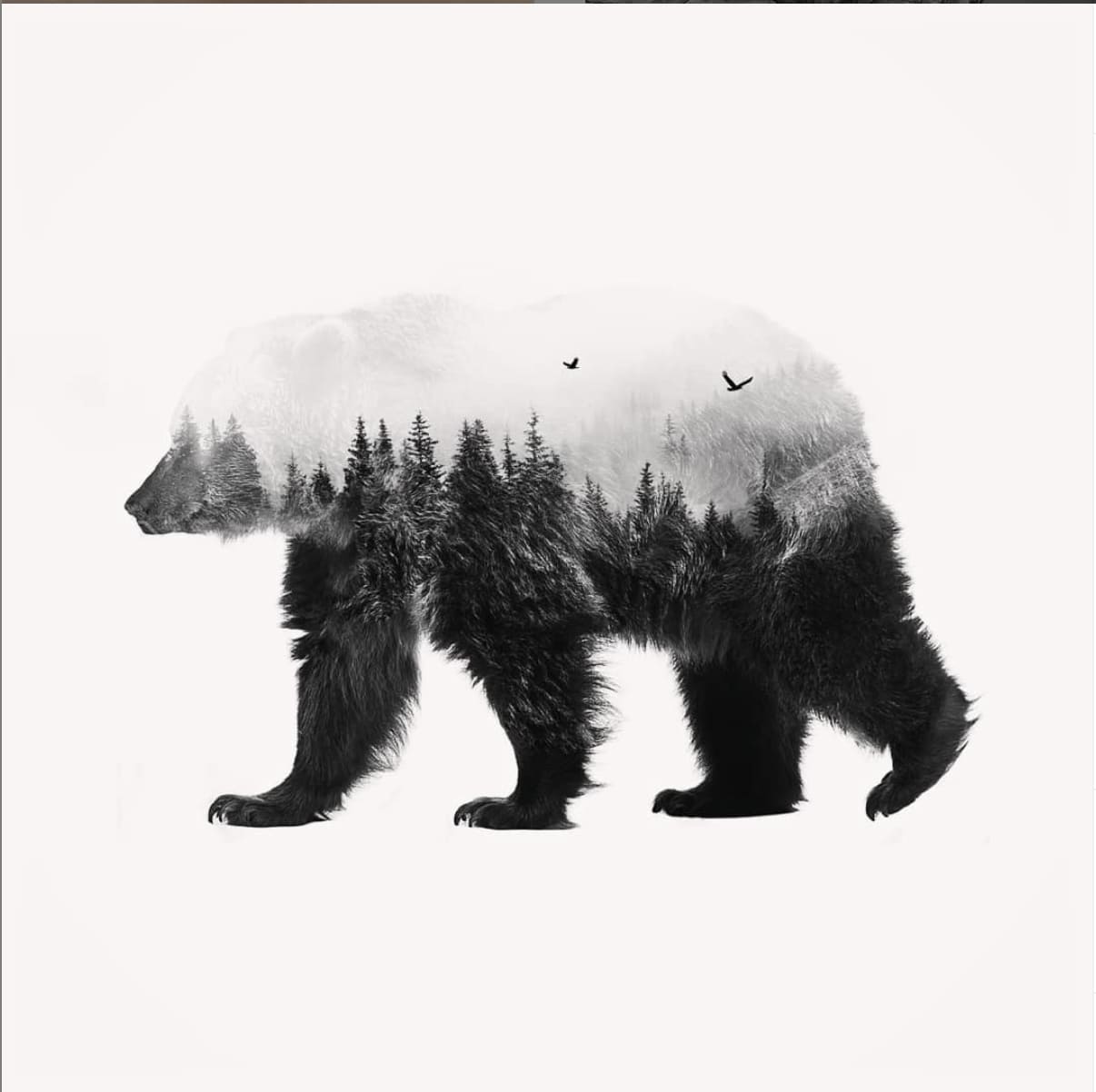 double exposure efix ours montain photomontage
