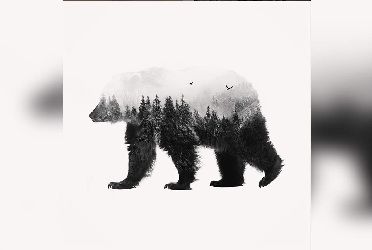 double exposure efix ours montain photomontage
