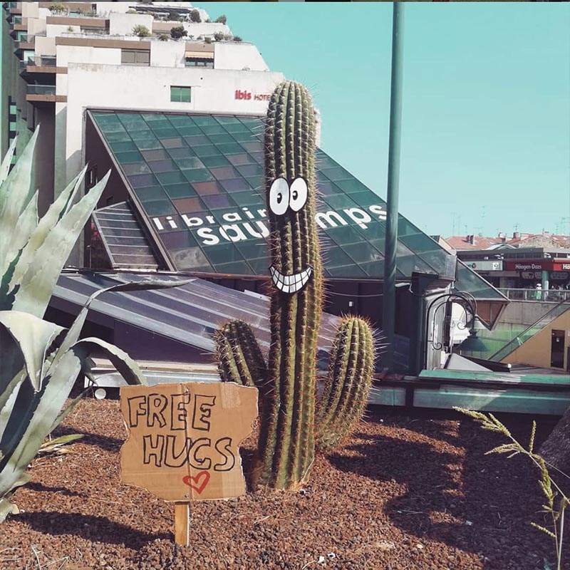 Street-art efix Montpellier cactus smile