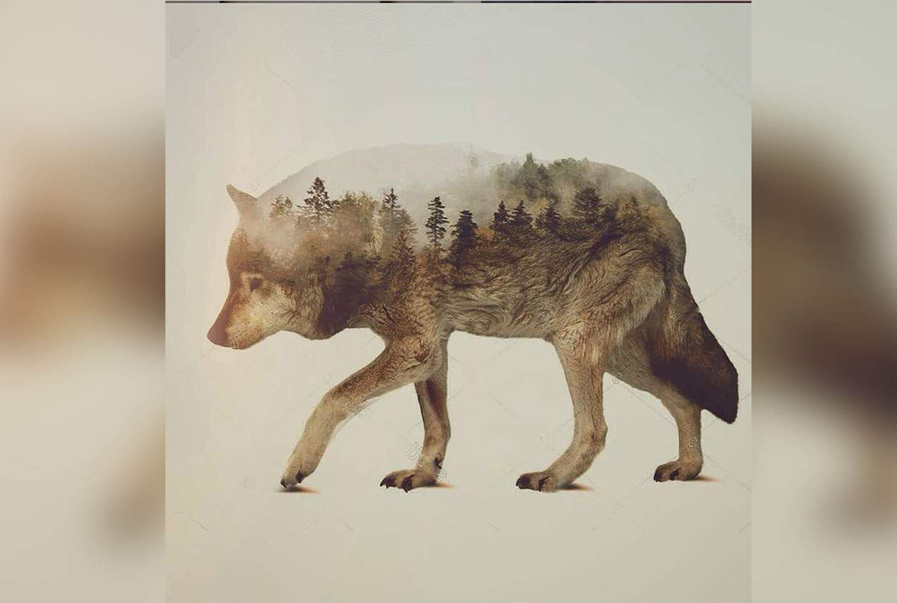 double exposition wolf efix photomontage