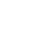 Logo blanc association humanitaire efix foundation