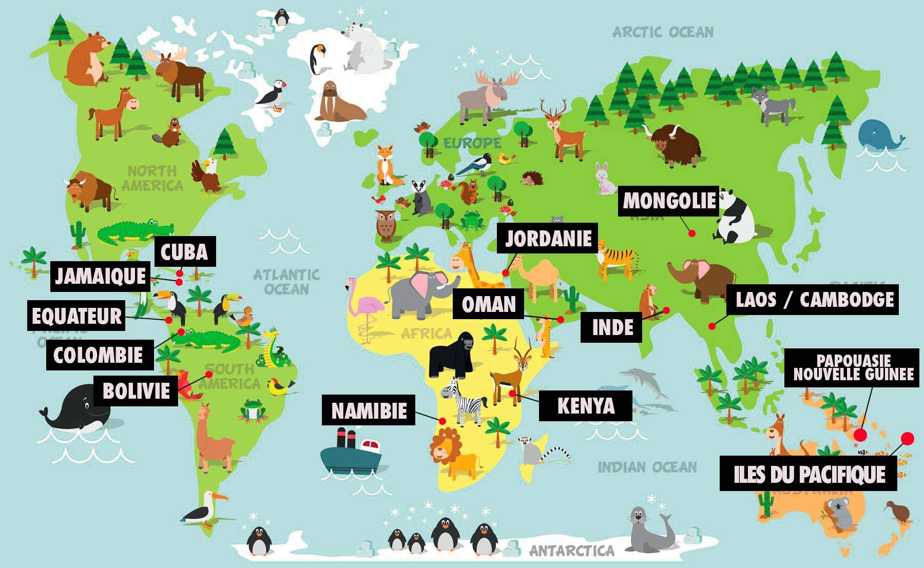 Carte du monde avec des animaux efix graine despoir