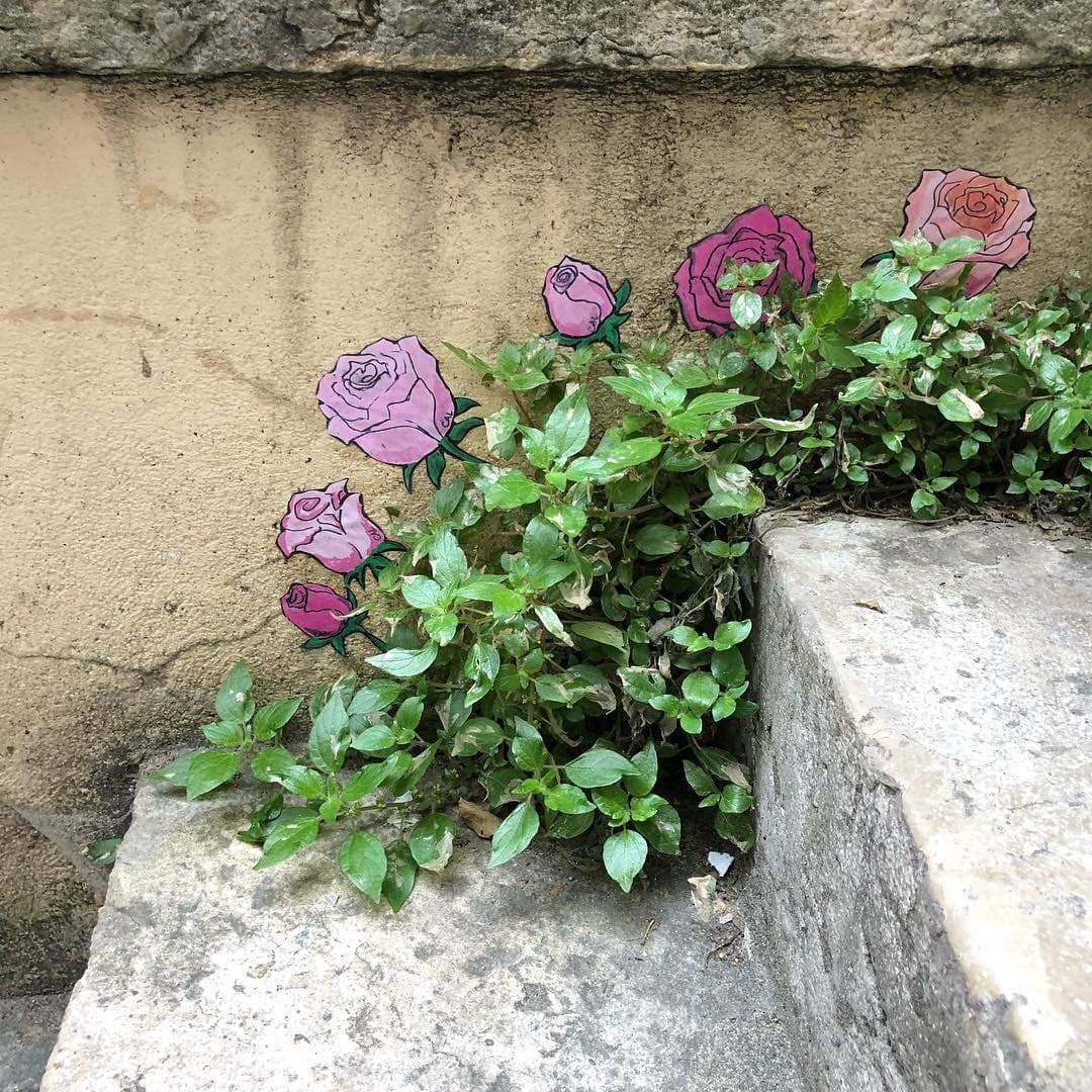 rose sur des marches street-art de cal efix