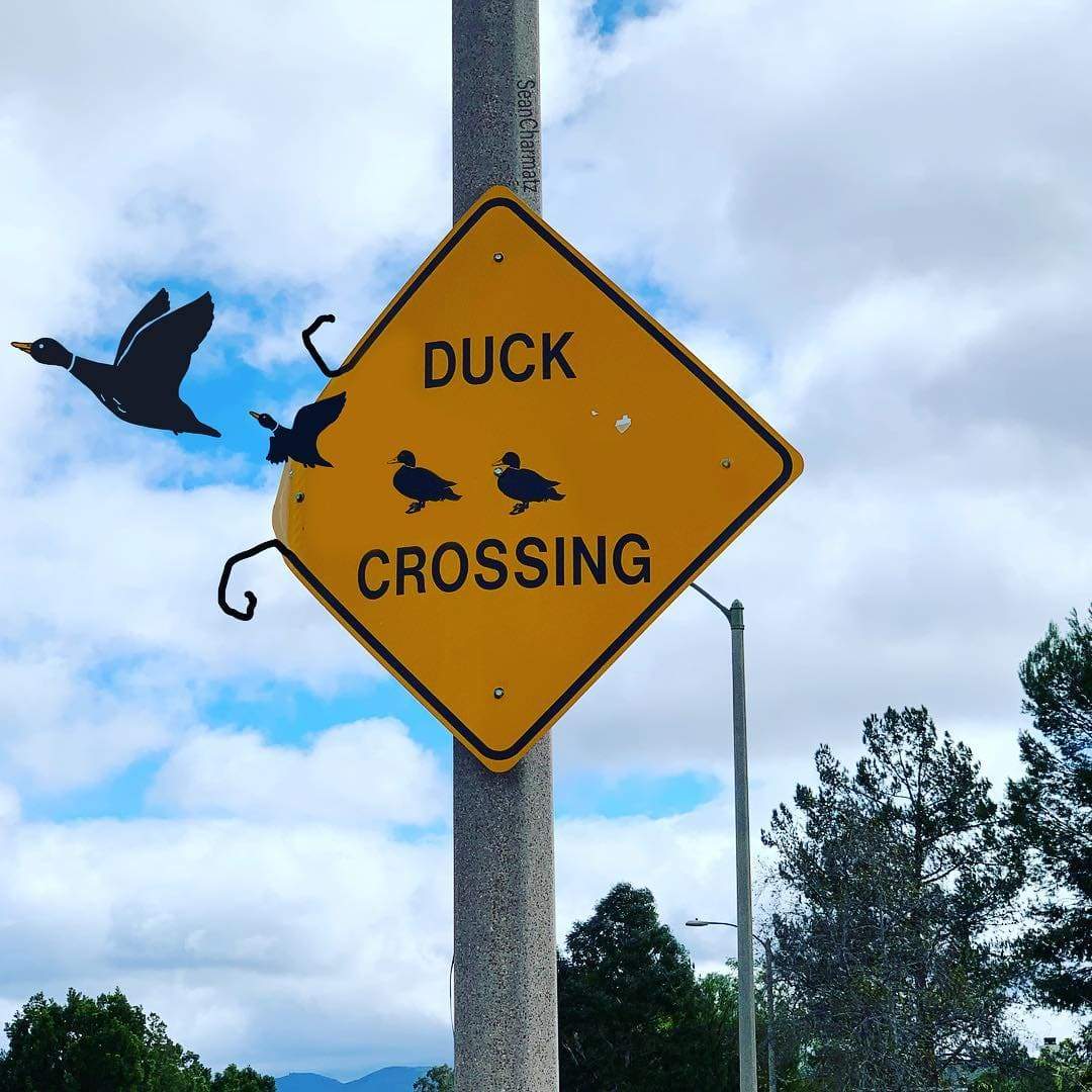 duck crossin street-art sean charmatz