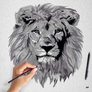 lion_illustration_efix